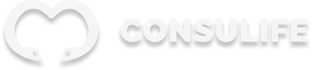 logo consulin